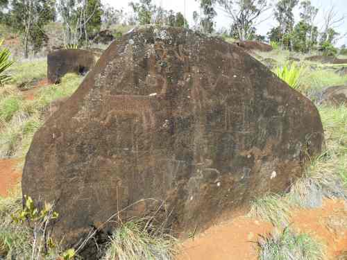 Petroglyphs at Luahiwa.