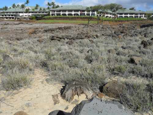 Kapihaʻa Village Site With Resort Buildings Beyond